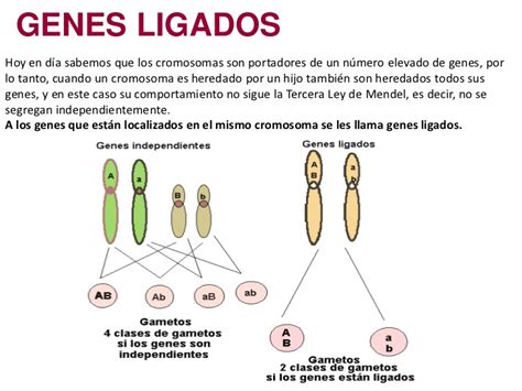 Ciencias Naturales Juan Pablo Ii Grado Octavo Segundo Periodo