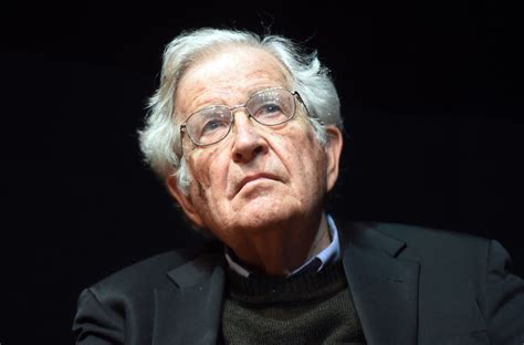 Minilú Chomsky Y El Lenguaje