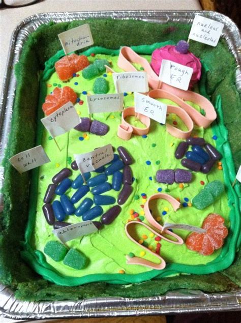 Animal cell cake with labels. The 25+ best Plant cell model ideas on Pinterest | 3d ...