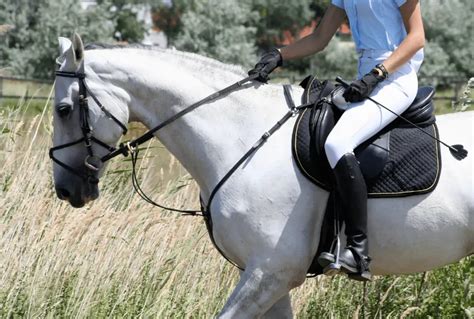 Best Horse Whips Guide For All The Equestrians The Horse And Stable