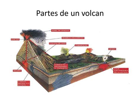 Partes De Un Volcán Sus Funciones Definiciones Y Más
