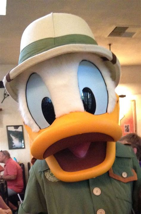 Donald Duck At The Tusker House Restaurant In Disneys Animal Kingdom