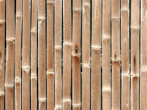 Bamboo Texture 1600x1200 Download Hd Wallpaper Wallpapertip