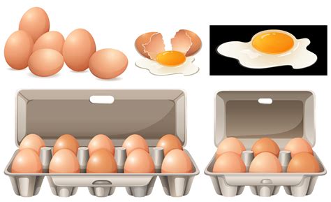 Raw Eggs In Different Packages 447268 Vector Art At Vecteezy