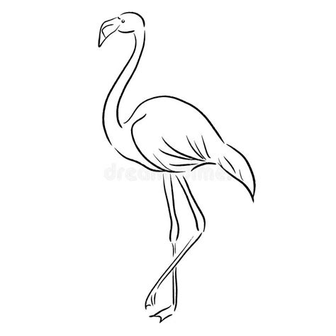 Print Flamingo Sketch One Line Draw Vector Illustration Stock