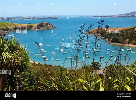 Coastal Bay Waiheke Island Auckland New Zealand Stock Photo Alamy