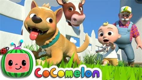 Cocomelon Tv Series 2020 — The Movie Database Tmdb