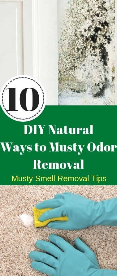 How To Remove Musty Odors From Your Home Find Out A Simple Natural