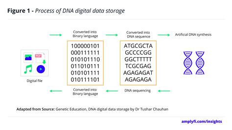The Future Of Information Storage Dnas Use For Storing Data Amplyfi