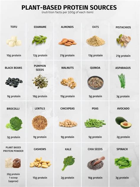plant based high protein foods reference chart printable instant download for healthy eating