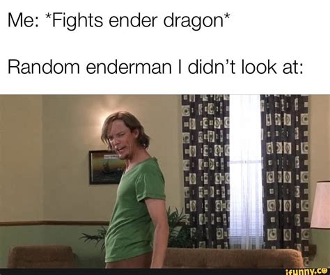Me Fights Ender Dragon Random Enderman I Didnt Look At Ifunny