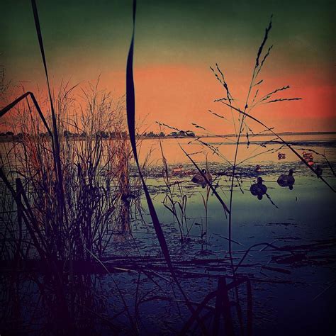 Duck Hunting Sunrise Photograph By Cheyene Vandament