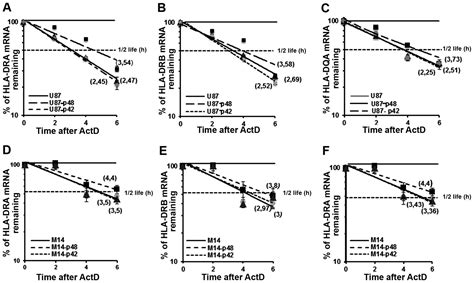 Ebp1 Protein Modulates The Expression Of Human Mhc Class Ii Molecules