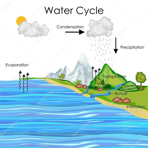 Education Chart Of Water Cycle Diagram