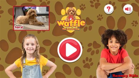 Waffle The Wonder Dog Jigsaw Game Hard Gameplay For Kids Youtube