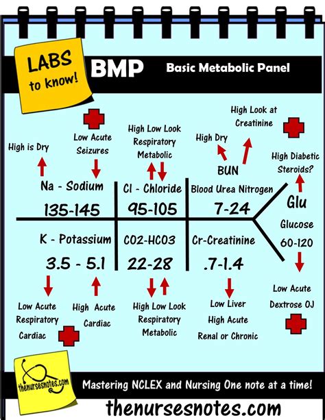 Bmp Chem7 Fishbone Diagram Explaining Labs From The Blood Book Theses