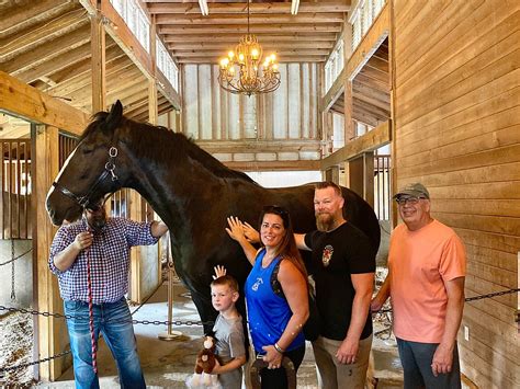 Grandview Clydesdale Tours Dunnellon All You Need To Know Before You Go