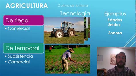 Actividades Primarias Agricultura Y Ganadería En El Mundo Youtube