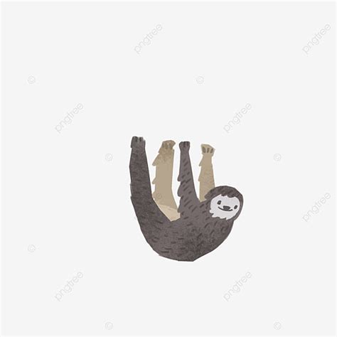 Cartoon Gray Sloth Free Illustration Gray Sloth Cartoon Animal