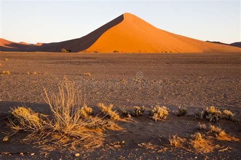 Red Dunes In The Namib Desert In Sossusvlei Namibia Stock Photo
