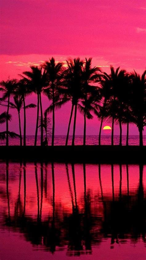 Pink Sunsethawaii Beautiful Hawaii Beach Summer Holiday Sunset