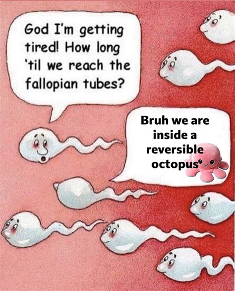 Two Sperm Cells Talking Two Sperm Cells Talking Know Your Meme