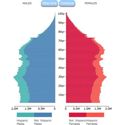 Population Pyramid Of The Usa By Race