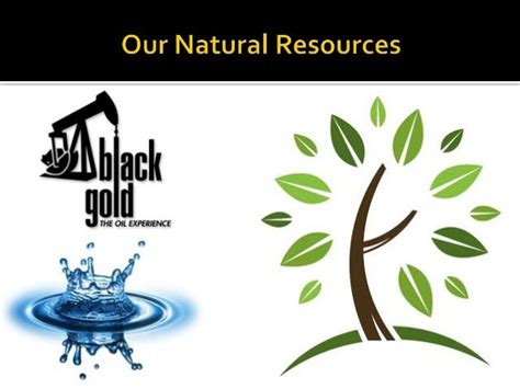 6 Management Of Natural Resources