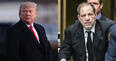 donald trump comments on harvey weinstein s guilty verdict donald trump harvey weinstein
