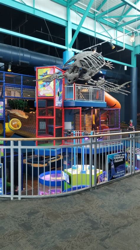 Aq Of The Smokies Childrens Play Area Seen From Inside Entrance