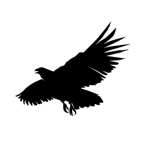 Silhouette Of Eagle Silhouette Of Falcon Silhouette Design Of Bird