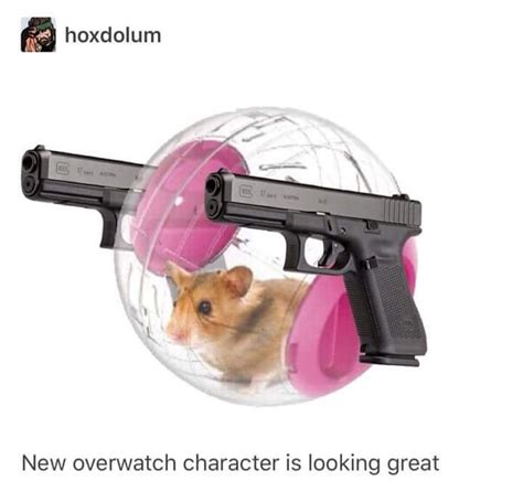Really Love Hamsters Shooting Guns Is Their Fate Boottoobig