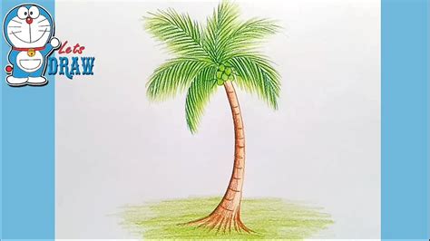 A cactus is both an ornamental plant, due to its spiky appearance, and a crop plant with a variety of uses. How to draw Coconut tree step by step - MyHobbyClass.com