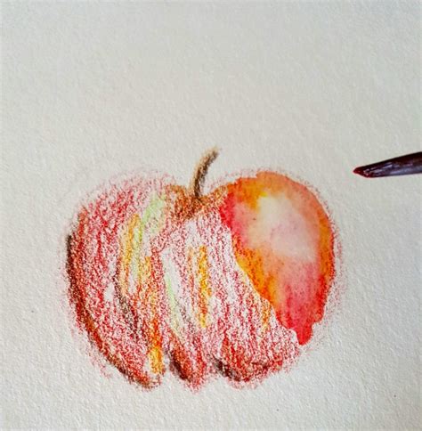 Easy Watercolor Pencil Drawings Watercolor Idea