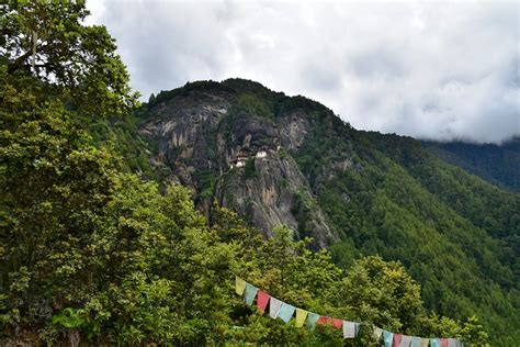 Forest Communities In Bhutan Benefit From Deeper Insights Into