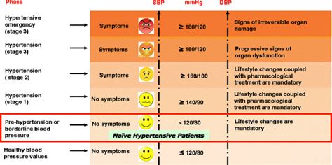 Progression Of Essential Hypertension The Disease Develops In 3