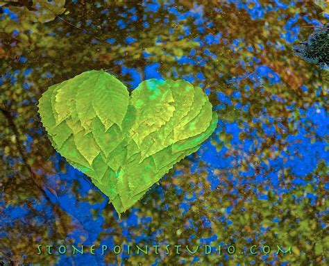 Les Installations Land Art De David Allen Art Paysage Land Art Landart