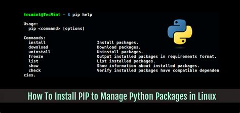 How To Install Pip In Python On Kali Linux Fix Importerror No Module