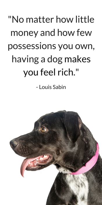 25 Sweet And Heartwarming Dog Quotes Puppy Leaks