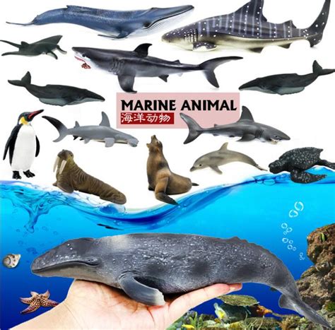 12pcs 3d Sea Life Sharks Dolphin Simulation Animal Model Funny Toys