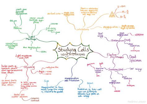 Mind Map Biology Cell Parts