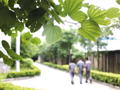 旺角站 <> 培正學校 <> 房委會、何文田邨、香港公開大學 <> 何文田南邨: 文化生活 - 宏旺集团