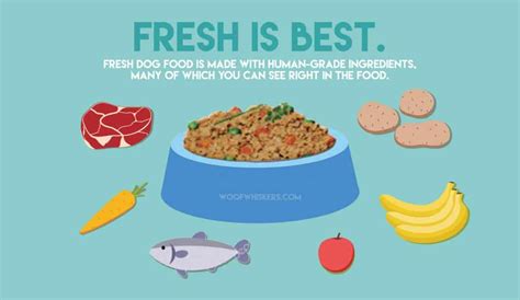 Real, good food for dogs & cats. 7 Best Fresh Dog Food Delivery Services June 2020 - Woof ...