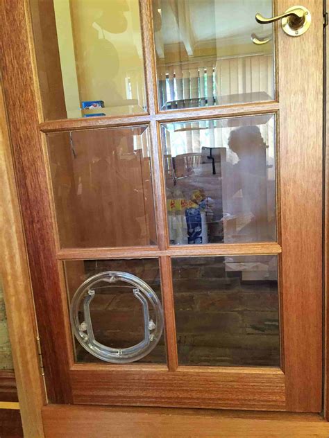 We researched the best cat doors from top companies for cats of all sizes. APD Super Tough Single Glaze Or Double Glaze Cat Flap ...