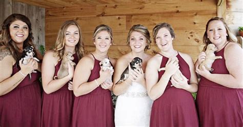 Meet the dog lovers who decided to pose with adorable rescue puppies instead of bouquets at their wedding. Bridesmaids Carry Rescue Puppies Down The Aisle Instead Of ...