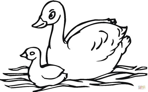 Swan Swimming Coloring Page Coloring Pages