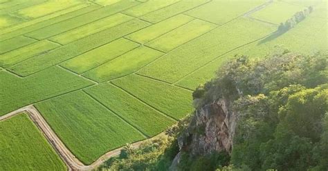 Include shopping in your malaysia kedah tour in malaysia with details like location, timings, reviews & ratings. Keindahan sawah padi di Kedah, Malaysia. (The beauty of ...