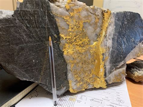 Rnc Minerals Announces 90 Kg Specimen Gold Slab Recovered From Fathers