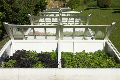 Instead of burying heating cable in the soil, the frame can also he heated by electric light bulbs attached to the interior of the glass sash. Using Cold Frames In Spring: How To Harden Off Seedlings ...