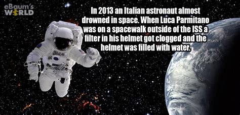 22 Fascinating Facts That Will Make Your Day Interesting Wow Gallery